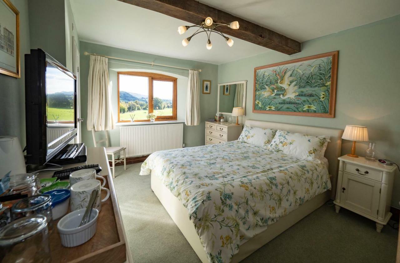 Bed and Breakfast Rhyd Lydan Ньютаун Екстер'єр фото